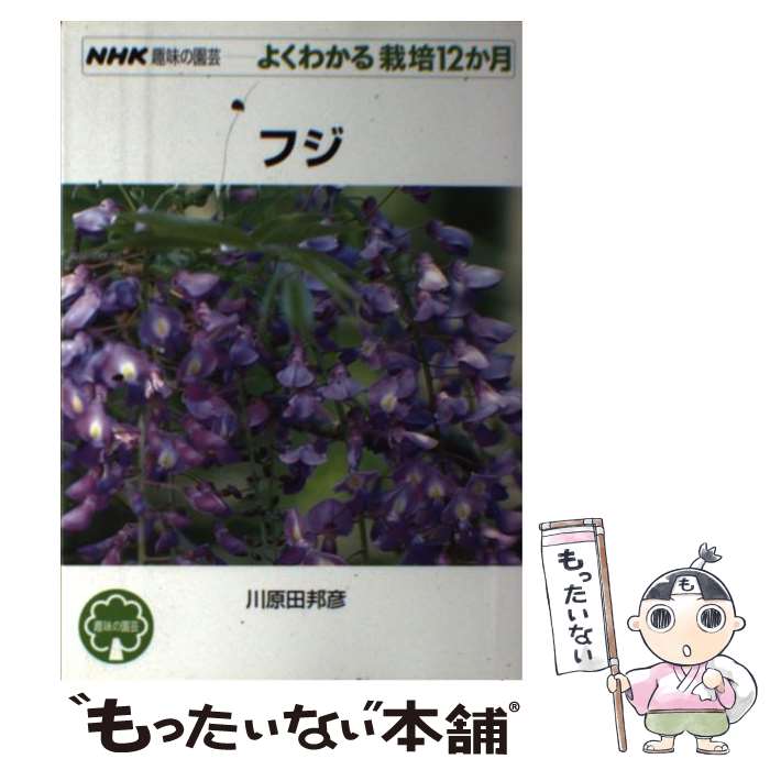 【中古】 フジ / 川原田 邦彦 / NHK出版 [単行本（ソフトカバー）]【メール便送料無料】【最短翌日配達対応】