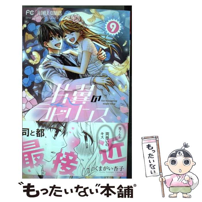 片翼のラビリンス　くまがい杏子　片翼の鍵 2個セット 片翼のラビリンス (全10巻) Kindle版