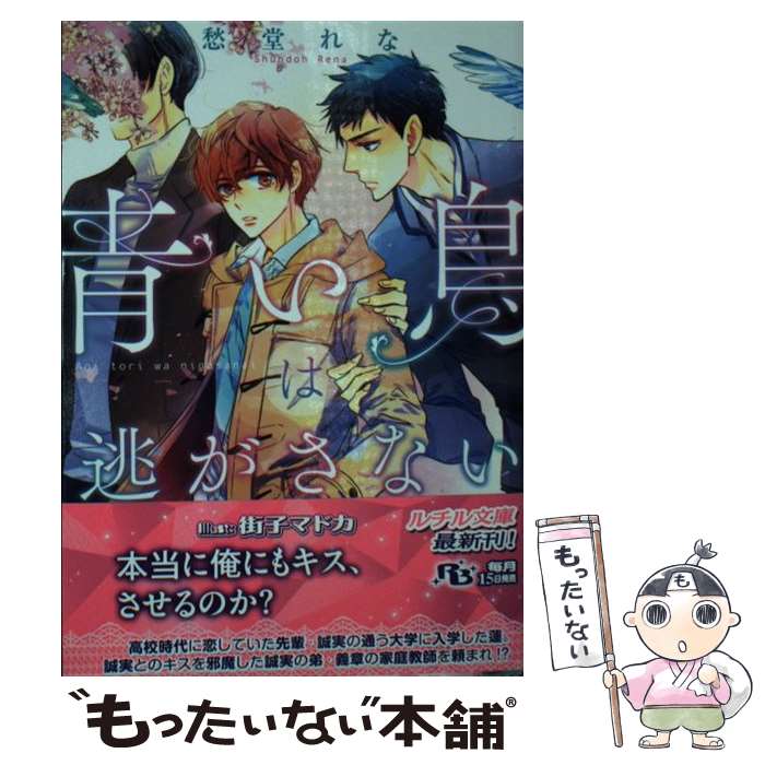 【中古】 青い鳥は逃がさない / 愁堂 れな, 街子 マドカ / 幻冬舎コミックス [文庫]【メール便送料無料】【最短翌日配達対応】