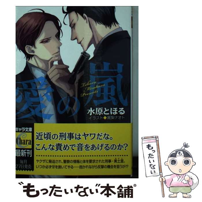 【中古】 愛の嵐 / 水原 とほる, 嵩梨 ナオト / 徳間