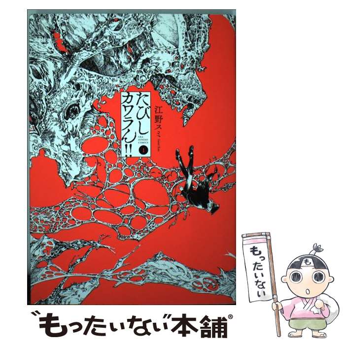 【中古】 たびしカワラん！！ 1 / 江野 スミ / 小学館 [コミック]【メール便送料無料】【最短翌日配達対応】