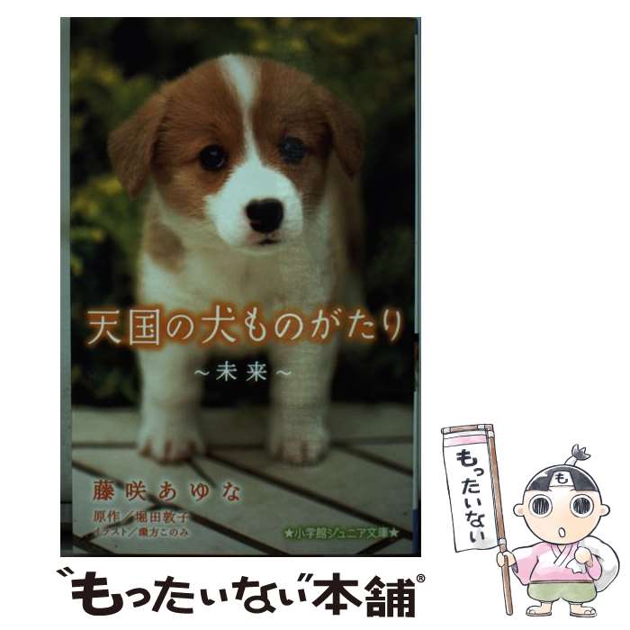  天国の犬ものがたり 未来 / 藤咲 あゆな, 環方 このみ / 小学館 