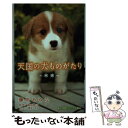 【中古】 天国の犬ものがたり 未来 / 藤咲 あゆな, 環方 このみ / 小学館 新書 【メール便送料無料】【あす楽対応】