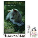 【中古】 天国の犬ものがたり わすれないで / 藤咲 あゆな, 環方 このみ / 小学館 新書 【メール便送料無料】【あす楽対応】