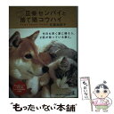  豆柴センパイと捨て猫コウハイ / 石黒 由紀子 / 幻冬舎 