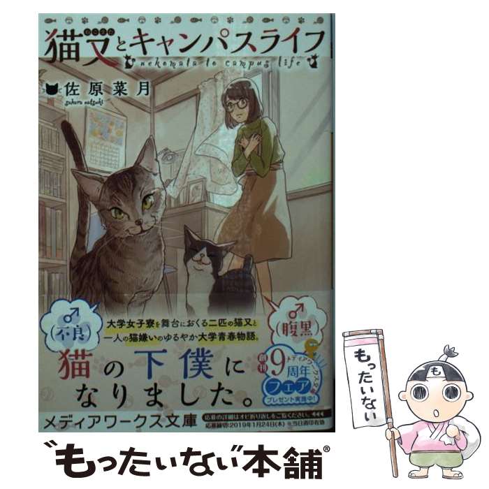 【中古】 猫又とキャンパスライフ / 佐原 菜月 / KADOKAWA 文庫 【メール便送料無料】【あす楽対応】