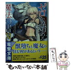 【中古】 ゼロから始める魔法の書 11 / 虎走 かける, しずま よしのり / KADOKAWA [文庫]【メール便送料無料】【あす楽対応】