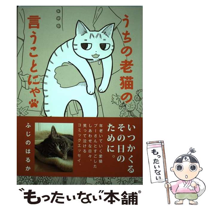 ����š� ������Ϸǭ�θ������Ȥˤ� / �դ��� �Ϥ뤫 / KADOKAWA/�ٻθ���˼ [ñ����]�ڥ᡼��������̵���ۡں�û������ã�б���