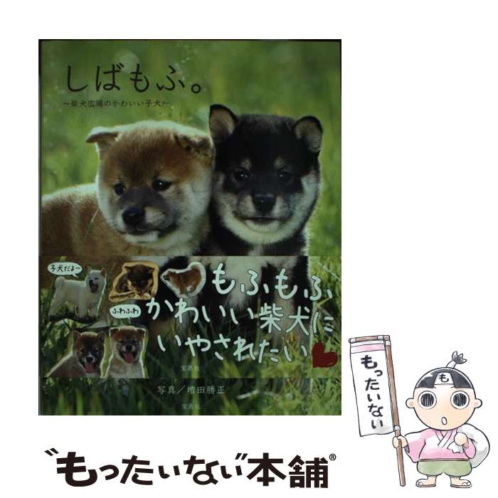 【中古】 しばもふ。 柴犬広場のかわいい子犬 / 増田 勝正 / 宝島社 単行本 【メール便送料無料】【あす楽対応】