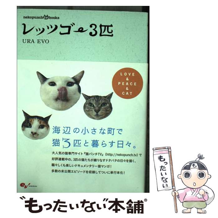 š åĥ3ɤ / URA EVO / 󥿡֥쥤 [ñ]ڥ᡼̵ۡںûãб