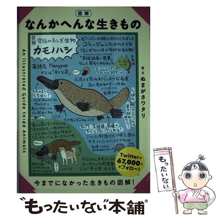 【中古】 図解なんかへんな生きもの / ぬまがさワタリ(絵・文) / 光文社 [単行本（ソフトカバー）]【メール便送料無料】【あす楽対応】