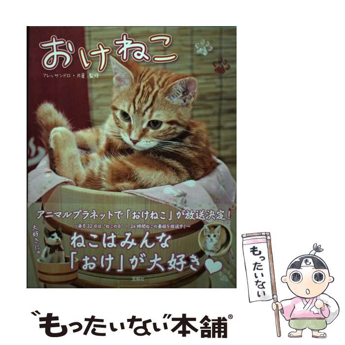 【中古】 おけねこ / アレッサンドロ・片倉 / 宝島社 [単行本]【メール便送料無料】【あす楽対応】