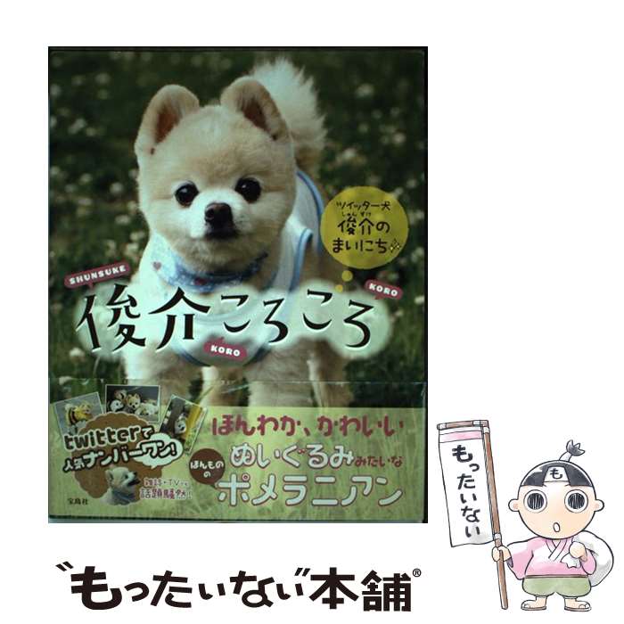 【中古】 俊介ころころ ツイッター犬俊介のまいにち / 宝島社 / 宝島社 [単行本]【メール便送料無料】【あす楽対応】