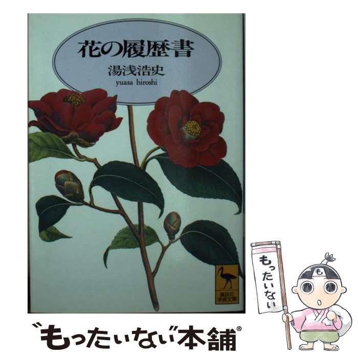 【中古】 花の履歴書 / 湯浅 浩史 / 講談社 [文庫]【