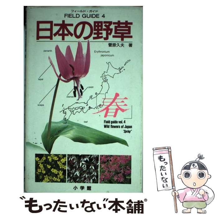 š ܤ  /   / ش [ñ]ڥ᡼̵ۡںûãб