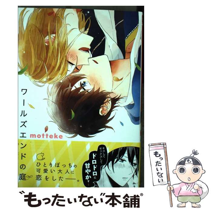 ����š� ��륺����ɤ��� / motteke / �ե���ƥ�������� [���ߥå�]�ڥ᡼��������̵���ۡں�û������ã�б���