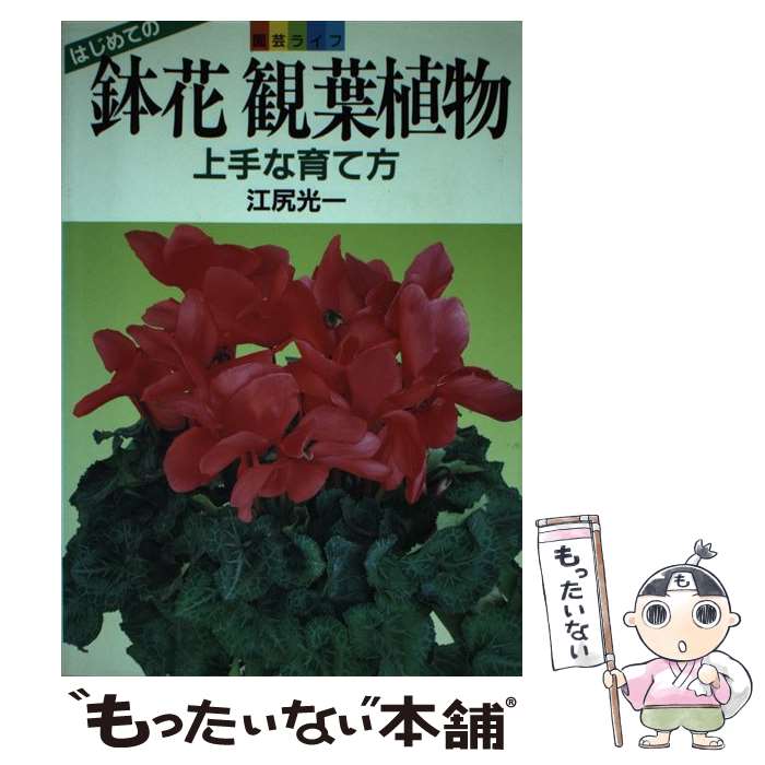 【中古】 鉢花観葉植物 上手な育て方 / 江尻 光一 / 家の光協会 [単行本]【メール便送料無料】【最短翌..