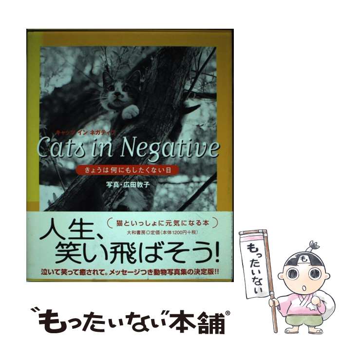 【中古】 Cats　in　negative / 広田 敦子 / 大和書房 [単行本]【メール便送料無料】【最短翌日配達対応】
