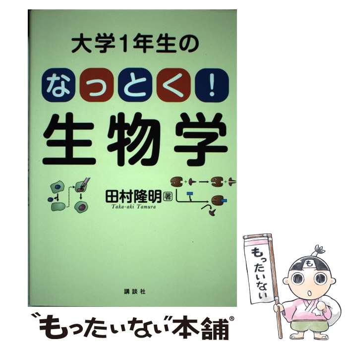 ����š� ���1ǯ���Ρ��ʤäȤ�����ʪ�� / ��¼ δ�� / ���̼� [ñ����]�ڥ᡼��������̵���ۡں�û������ã�б���