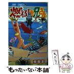 【中古】 燃える！お兄さん 2 / 佐藤 正 / 集英社 [コミック]【メール便送料無料】【あす楽対応】