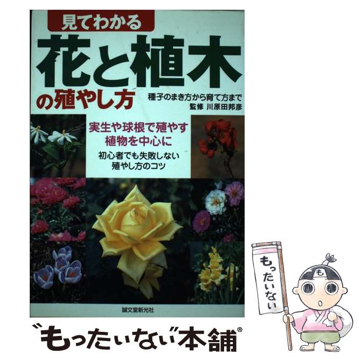 ����š� ���Ƥ狼��֤ȿ��ڤο��䤷�� ��ҤΤޤ������������ޤ� ������庬�ǿ��䤹��ʪ���濴�� �鿴�ԤǤ⼺�Ԥ��ʤ��� / / [ñ����]�ڥ᡼��������̵��...