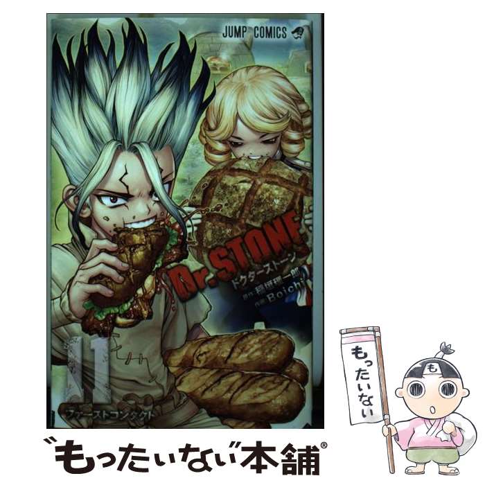 ����š� Dr.STONE 11 / Boichi / ���Ѽ� [���ߥå�]�ڥ᡼��������̵���ۡں�û������ã�б���