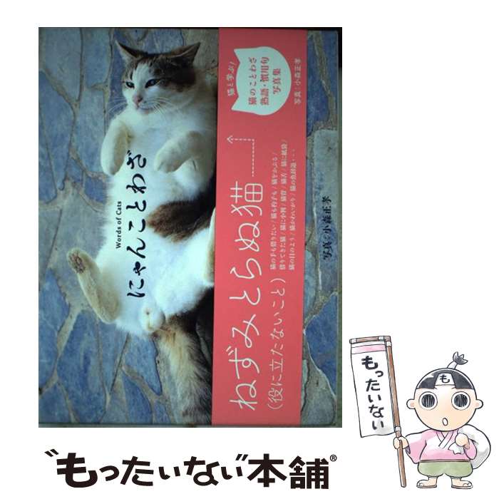 著者：小森 正孝, ・出版社：一迅社サイズ：単行本（ソフトカバー）ISBN-10：4758014655ISBN-13：9784758014656■こちらの商品もオススメです ● ねこのおやこ / 内山 晟 / ポプラ社 [単行本] ● カマトトネコの物語 / 子子子 子子子 / 清風堂書店 [単行本] ● 地震171 7匹の猫 大鳥喜平 / 大鳥 喜平 / 近代文藝社 [単行本] ■通常24時間以内に出荷可能です。※繁忙期やセール等、ご注文数が多い日につきましては　発送まで48時間かかる場合があります。あらかじめご了承ください。 ■メール便は、1冊から送料無料です。※宅配便の場合、2,500円以上送料無料です。※最短翌日配達ご希望の方は、宅配便をご選択下さい。※「代引き」ご希望の方は宅配便をご選択下さい。※配送番号付きのゆうパケットをご希望の場合は、追跡可能メール便（送料210円）をご選択ください。■ただいま、オリジナルカレンダーをプレゼントしております。■お急ぎの方は「もったいない本舗　お急ぎ便店」をご利用ください。最短翌日配送、手数料298円から■まとめ買いの方は「もったいない本舗　おまとめ店」がお買い得です。■中古品ではございますが、良好なコンディションです。決済は、クレジットカード、代引き等、各種決済方法がご利用可能です。■万が一品質に不備が有った場合は、返金対応。■クリーニング済み。■商品画像に「帯」が付いているものがありますが、中古品のため、実際の商品には付いていない場合がございます。■商品状態の表記につきまして・非常に良い：　　使用されてはいますが、　　非常にきれいな状態です。　　書き込みや線引きはありません。・良い：　　比較的綺麗な状態の商品です。　　ページやカバーに欠品はありません。　　文章を読むのに支障はありません。・可：　　文章が問題なく読める状態の商品です。　　マーカーやペンで書込があることがあります。　　商品の痛みがある場合があります。