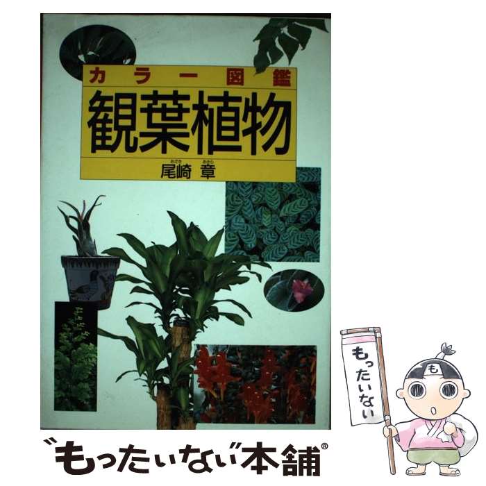 【中古】 カラー図鑑　観葉植物 カラー図鑑 / 尾崎 章 /