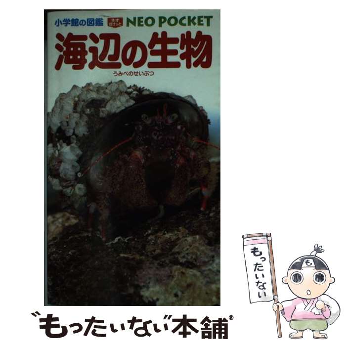 【中古】 海辺の生物 / 白山 義久, 甲斐 嘉晃, 駒井 智幸, 齋藤 寛, 長谷川 和範, 横浜 康継 / 小学館 [単行本]【メール便送料無料】【最短翌日配達対応】