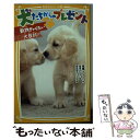  犬たちからのプレゼント 動物ぎゃくたい大反対！ / 高橋 うらら, 原田 京子, 柚希 きひろ / 集英社 