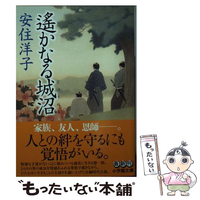 【中古】 遙かなる城沼 / 安住 洋子 / 小学館 [文庫]【メール便送料無料】【あす楽対応】