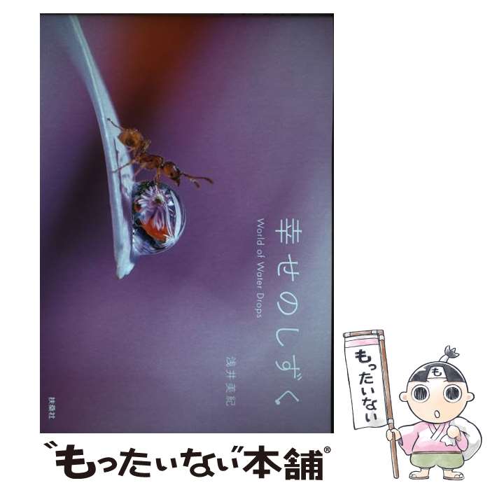 ����š� �����Τ����� / ���� ���� / �޷��� [ñ���ܡʥ��եȥ��С���]�ڥ᡼��������̵���ۡں�û������ã�б���