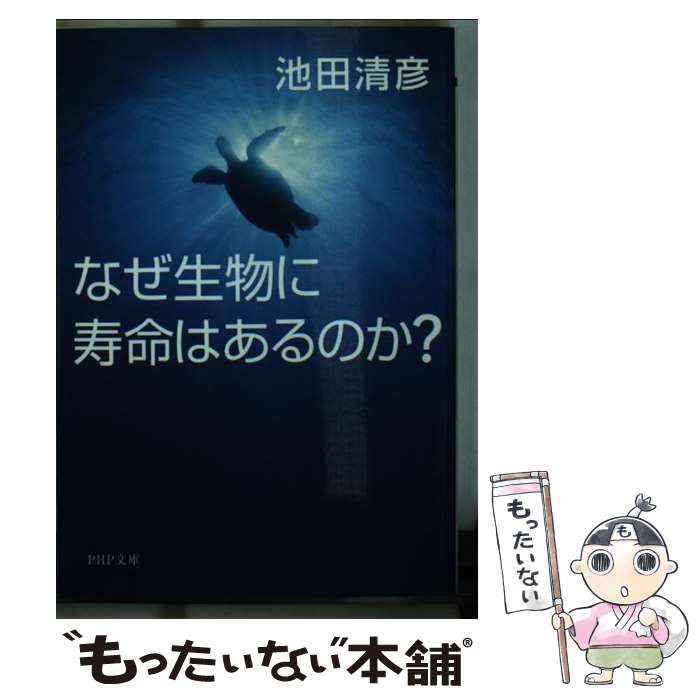 ����š� �ʤ���ʪ�˼�̿�Ϥ���Τ�? ������ɧ / ���� ��ɧ / PHP����� [ʸ��]�ڥ᡼��������̵���ۡں�û������ã�б���