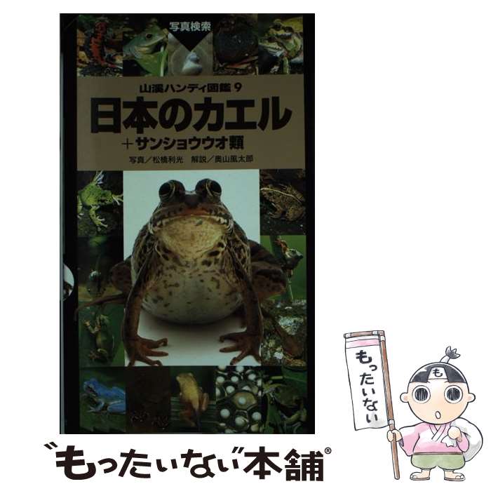 š ܤΥ ܥ󥷥祦 /  ,  Ϻ / ë [ñ]ڥ᡼̵ۡںûãб