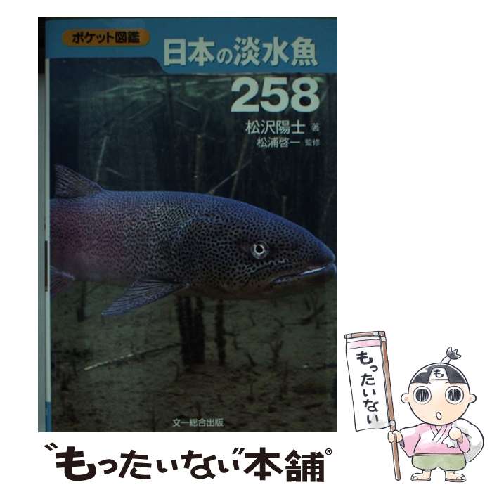 【中古】 日本の淡水魚258 / 松沢 陽士 / 文一総合出版 [文庫]【メール便送料無料...