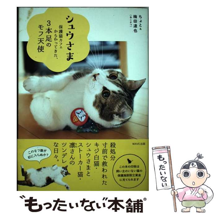 【中古】 シュウさま 保護猫カフェからやってきた、3本足のモ