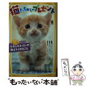  猫たちからのプレゼント ケガしたミィミィが教えてくれたこと / 高橋 うらら, 原田 京子, 柚希 きひろ / 集英社 