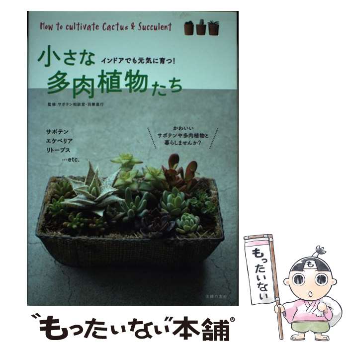【中古】 小さな多肉植物たち / 羽兼 直行 / 主婦の友社 [単行本（ソフトカバー）]【メール便送料無料】【最短翌日配達対応】