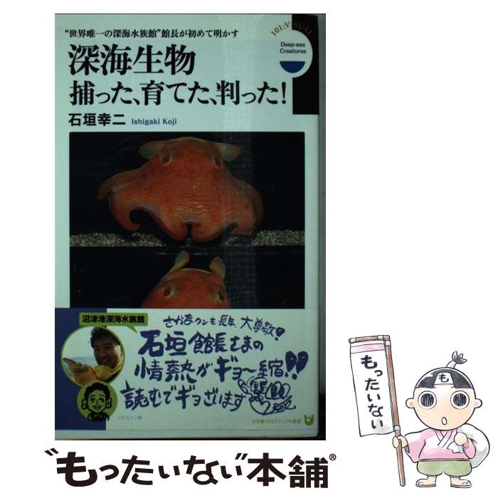  深海生物捕った、育てた、判った！ “世界唯一の深海水族館”館長が初めて明かす / 石垣 幸二 / 小学館 