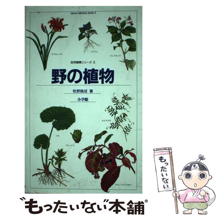 ����š� ��ο�ʪ / ���� ���� / ���ش� [�ڡ��ѡ��Хå�]�ڥ᡼��������̵���ۡں�û������ã�б���