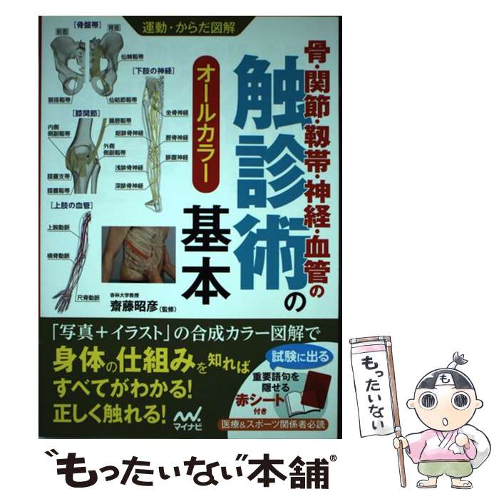  骨・関節・靭帯・神経・血管の触診術の基本 オールカラー / .齋藤昭彦 / マイナビ出版 