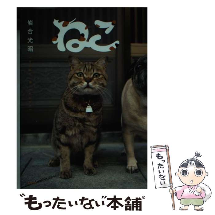 ����š� �ͤ� / ��� ���� / ��������� [ʸ��]�ڥ᡼��������̵���ۡں�û������ã�б���