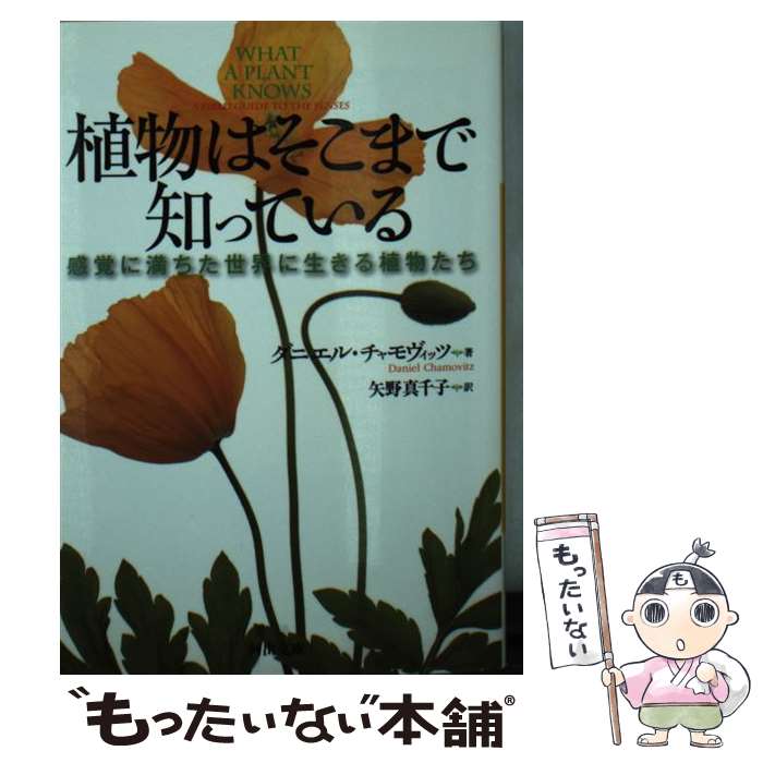 【中古】 植物はそこまで知っている 感覚に満ちた世界に生きる植物たち / ダニエル・チャモヴィッツ 矢野真千子 / 河出書房新社 [文庫]【メール便送料無料】【あす楽対応】