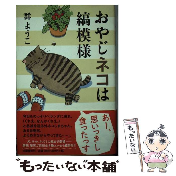 ����š� ���䤸�ͥ��ϼ����� / �����褦�� / ʸ麽ս� [ñ����]�ڥ᡼��������̵���ۡں�û������ã�б���