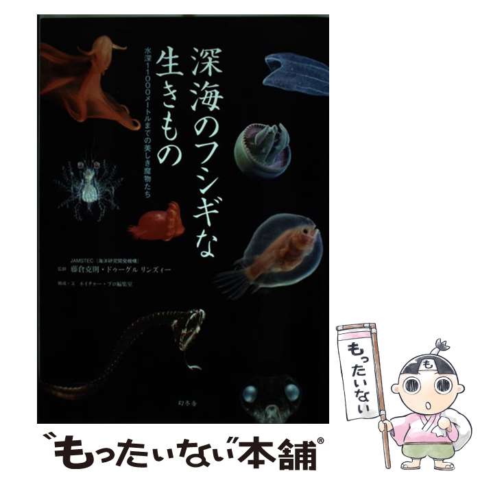  深海のフシギな生きもの 水深11000メートルまでの美しき魔物たち / 藤倉 克則, ドゥーグル リンズィー / 幻冬 