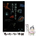  深海のフシギな生きもの 水深11000メートルまでの美しき魔物たち / 藤倉 克則, ドゥーグル リンズィー / 幻冬 