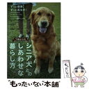 【中古】 7歳からのシニア犬とのしあわせな暮らし方 アンチエイジングとハッピー介護マニュアル / 大泉書店 / 大泉書店 [単行本]【メール便送料無料】【あす楽対応】