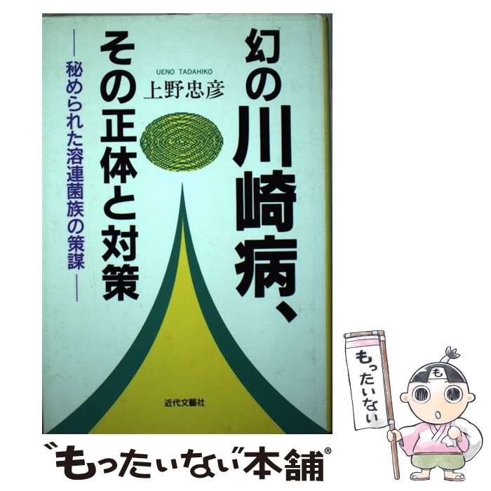 【中古】 幻の川崎病、その正体と対策 秘められた溶連菌族の策謀 / 上野 忠彦 / 近代文芸社 [単行本]【メール便送料無料】【あす楽対応】のサムネイル