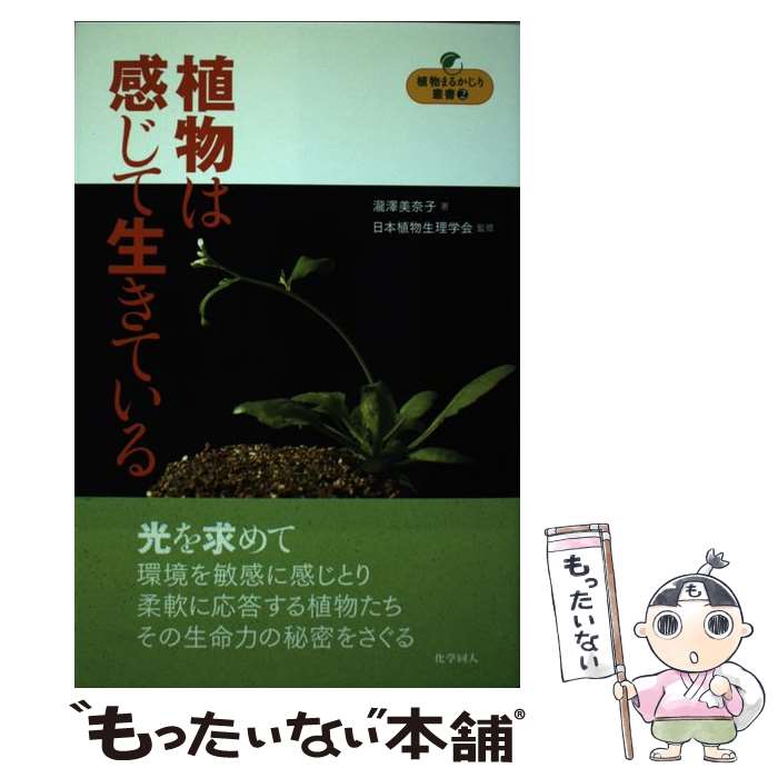 【中古】 植物は感じて生きている / 瀧澤 美奈子, 日本植物生理学会 / 化学同人 [...