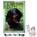 楽天もったいない本舗　楽天市場店【中古】 愛犬マックス 誘拐dognap / 関口 哲平 / 徳間書店 [単行本]【メール便送料無料】【あす楽対応】